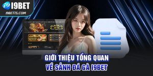 Giới thiệu sảnh đá gà i9bet