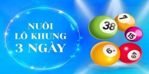 Bí kíp nuôi lô khung 3 ngày tuyệt đối